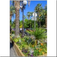 2022-04-29 Unterpflanzung 03.jpg